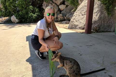 Magnetic Island Tour: Maggie Comprehensive - Holiday Sunshine Coast 9