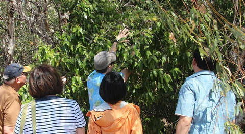 Magnetic Island Tour: Maggie Comprehensive - Holiday Sunshine Coast 6