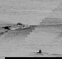 Overnight Tweed Coast Camping and Surfing Getaway From The Gold Coast - Sunshine Coast Tourism