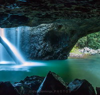 Springbrook Half Day Tour - Sunshine Coast Tourism