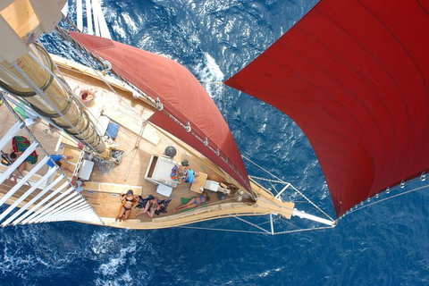 2-Day Whitsundays Sailing Adventure: Alexander Stewart - Holiday Sunshine Coast 0