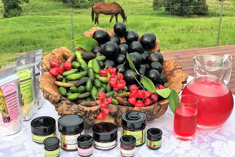 Atherton Tablelands Small-Group Food & Wine Tasting Tour From Port Douglas - Holiday Sunshine Coast 12