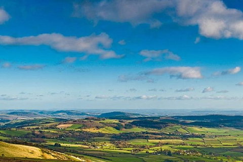 Atherton Tablelands Small-Group Food & Wine Tasting Tour From Port Douglas - Holiday Sunshine Coast 20