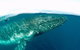 Whale Watching And Surfers Paradise Day Trip From Brisbane - thumb 1
