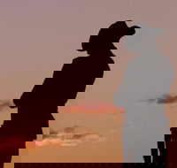 Townsville and the Australian Army Walking History Tour with Optional City Sightseeing - Sunshine Coast Tourism