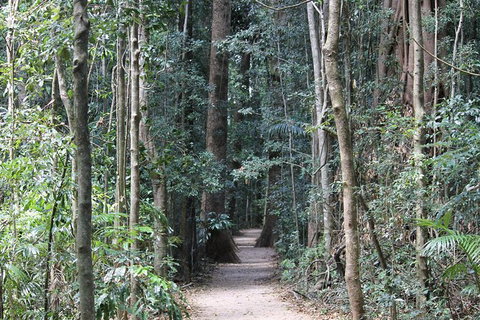 Eumundi Markets And Sunshine Coast Day Trip From Brisbane - Sunshine Coast Tourism 6