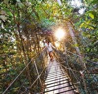 O'Reilly's Lamington National Park and Treetop Canopy Tour - Sunshine Coast Tourism