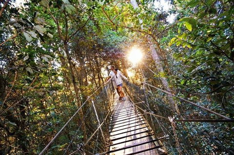 O'Reilly's Lamington National Park And Treetop Canopy Tour - Sunshine Coast Tourism 0