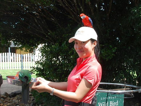 O'Reilly's Lamington National Park And Treetop Canopy Tour - Sunshine Coast Tourism 5