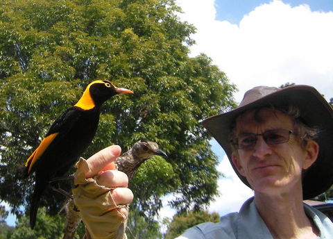 O'Reilly's Lamington National Park And Treetop Canopy Tour - Sunshine Coast Tourism 4