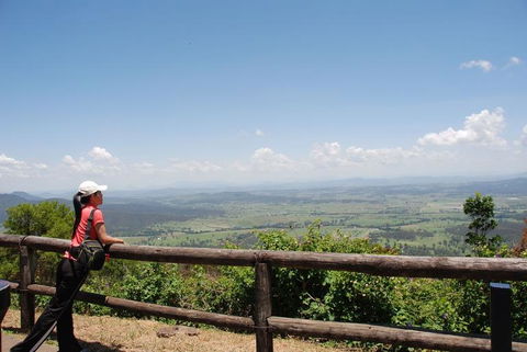 O'Reilly's Lamington National Park And Treetop Canopy Tour - Sunshine Coast Tourism 6