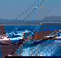 Blue Dolphin Exclusive Whale Watch Encounters - Sunshine Coast Tourism