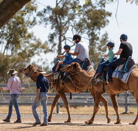 Camel Rides - Sunshine Coast Tourism