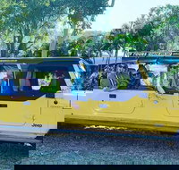 3.5 hour Eco Tour - Sunshine Coast Tourism