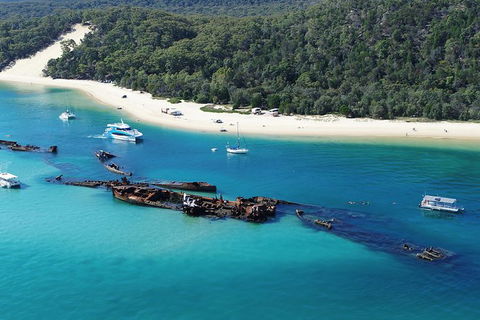 All Inclusive Dolphin And Tangalooma Wrecks Cruise Departing Gold Coast - Sunshine Coast Tourism 0
