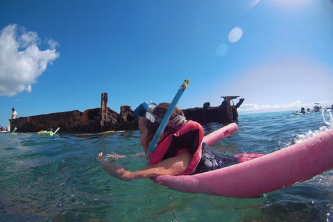 All Inclusive Dolphin And Tangalooma Wrecks Cruise Departing Gold Coast - Sunshine Coast Tourism 4