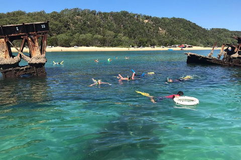 All Inclusive Dolphin And Tangalooma Wrecks Cruise Departing Gold Coast - Sunshine Coast Tourism 9