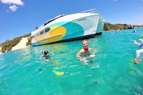 All Inclusive Dolphin And Tangalooma Wrecks Cruise Departing Gold Coast - Sunshine Coast Tourism 2