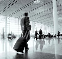 Brisbane Airport to and from Byron Bay NSW for up-to 11 ppl - Sunshine Coast Tourism