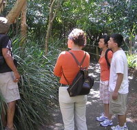 Boomerang Aboriginal Cultural Tours - Sunshine Coast Tourism