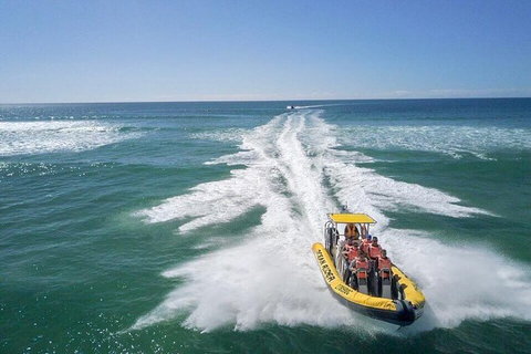 Noosa Oceanrider - Thrill Ride - Sunshine Coast Tourism 2