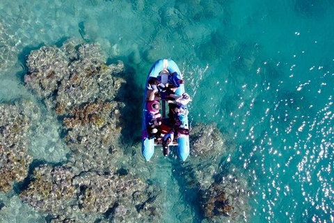 Glass-bottom Boat Tour With Whitehaven Beach - Holiday Sunshine Coast 0