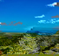 Cape Tribulation Day Tour - Sunshine Coast Tourism