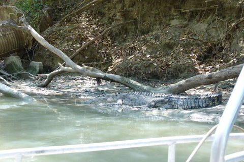 Kakadu Full-Day Tour From Darwin With Lunch - Holiday Sunshine Coast 2