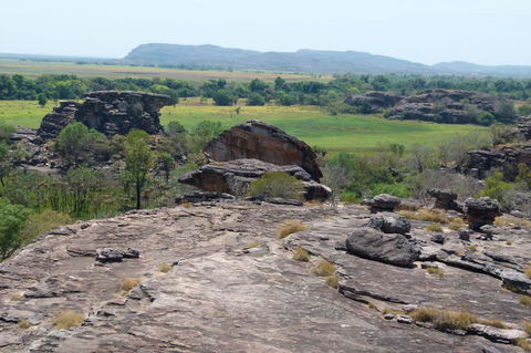 Kakadu Full-Day Tour From Darwin With Lunch - Holiday Sunshine Coast 3