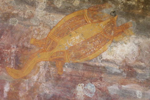 Kakadu Full-Day Tour From Darwin With Lunch - Holiday Sunshine Coast 4