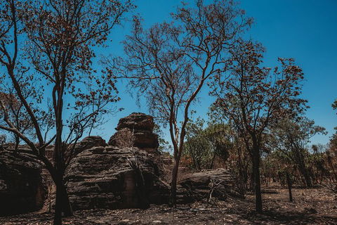 Kakadu Full-Day Tour From Darwin With Lunch - Holiday Sunshine Coast 6