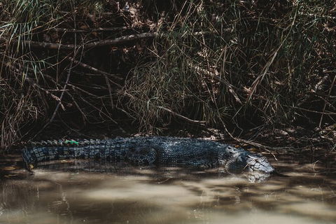Kakadu Full-Day Tour From Darwin With Lunch - Holiday Sunshine Coast 13