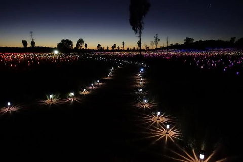 Uluru Field Of Light Sunrise Tour - Sunshine Coast Tourism 2