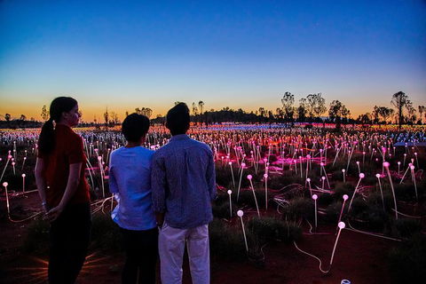 Uluru Field Of Light Sunrise Tour - Sunshine Coast Tourism 5