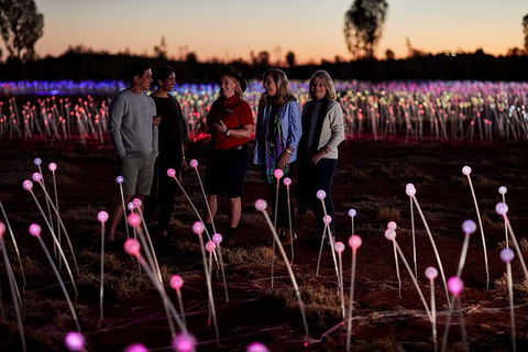 Uluru Field Of Light Sunrise Tour - Sunshine Coast Tourism 10