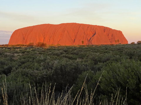 Uluru (Ayers Rock) Sunset With Outback Barbecue Dinner And Star Tour - Sunshine Coast Tourism 5