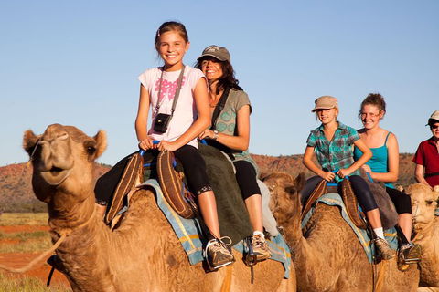 Alice Springs Camel Tour - Sunshine Coast Tourism 0