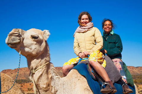 Alice Springs Camel Tour - Sunshine Coast Tourism 8