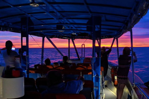 Darwin Sunset Cruise, Including Fish \'n\' Chips - Holiday Sunshine Coast 9