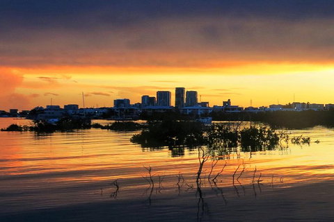 Darwin Sunset Cruise, Including Fish \'n\' Chips - Holiday Sunshine Coast 3