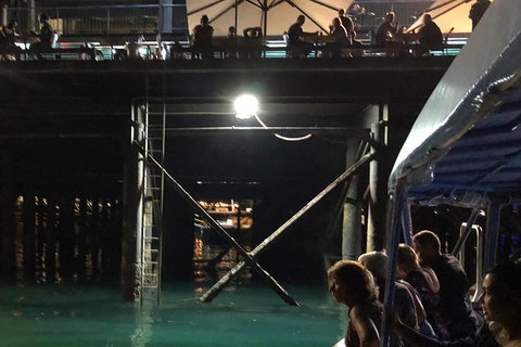 Darwin Sunset Cruise, Including Fish \'n\' Chips - Holiday Sunshine Coast 8