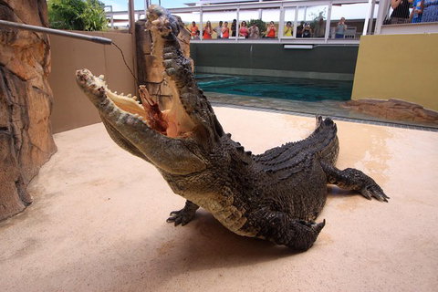 Darwin Hop-on Hop-off Bus Tour - Holiday Sunshine Coast 13