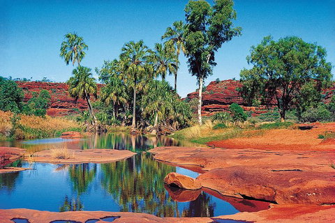 Palm Valley 4WD Tour From Alice Springs - Holiday Sunshine Coast 1