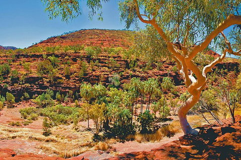 Palm Valley 4WD Tour From Alice Springs - Holiday Sunshine Coast 6