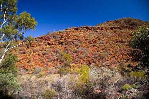 Palm Valley 4WD Tour From Alice Springs - Holiday Sunshine Coast 7