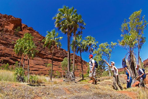 Palm Valley 4WD Tour From Alice Springs - Holiday Sunshine Coast 2