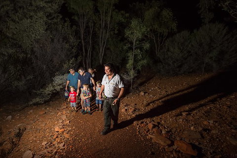 Alice Springs Desert Park Nocturnal Tour - Sunshine Coast Tourism 6