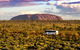 Coach Transfer From Ayers Rock To Kings Canyon - thumb 3