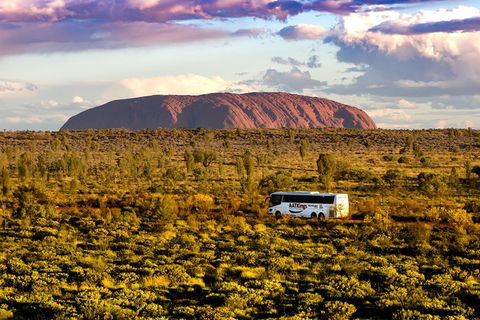 Coach Transfer From Ayers Rock To Kings Canyon - Holiday Sunshine Coast 3