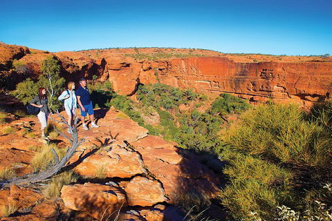 Coach Transfer From Ayers Rock To Kings Canyon - Holiday Sunshine Coast 6